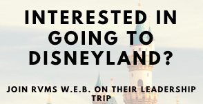 interested in Disney?