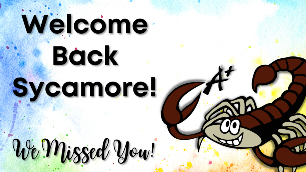 Welcome Back Sycamore!  We Missed You!