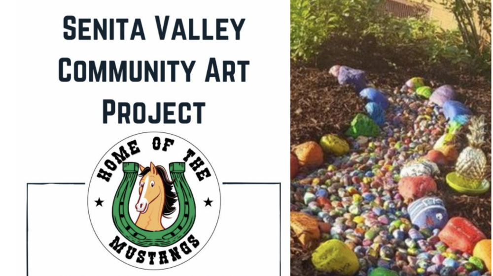 Senita Valley Community Art Project