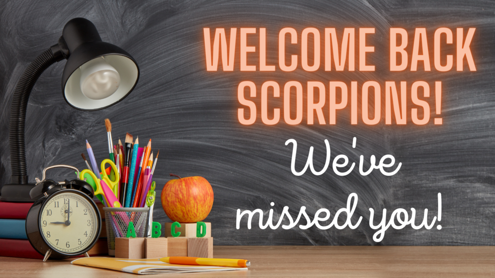 Welcome Back Scorpions!  We've missed you!