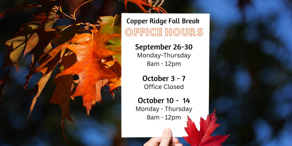 Fall break Office Hours