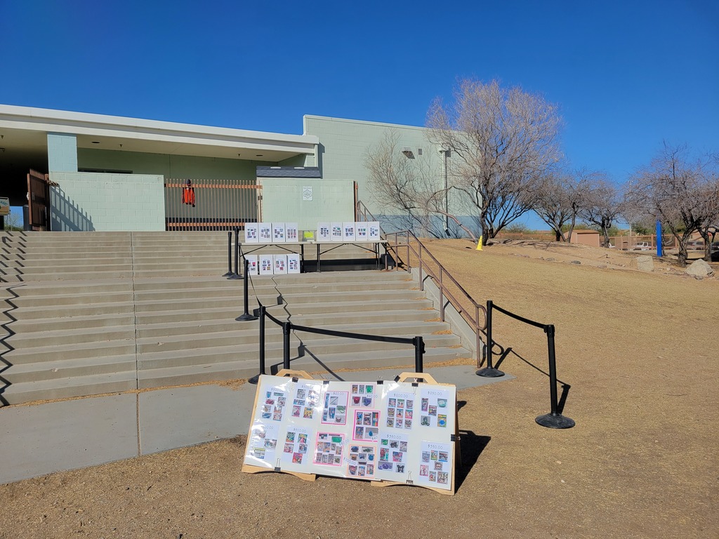 Live Feed Senita Valley Elementary School