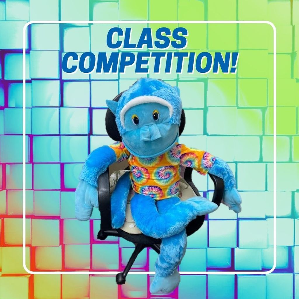 Class Competition 