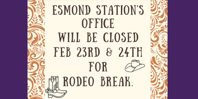 Rodeo Break